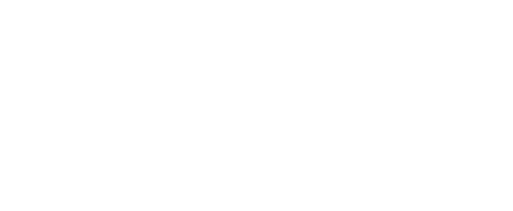 Logo Img